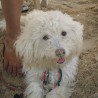 Paopaoo27